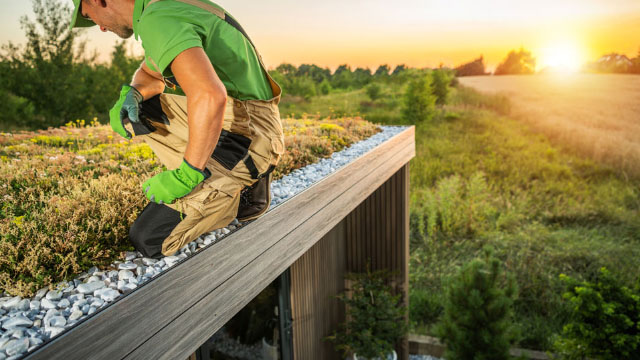 Acoperisurile verzi - armonie intre arhitectura si natura in proiectele de peisagistica